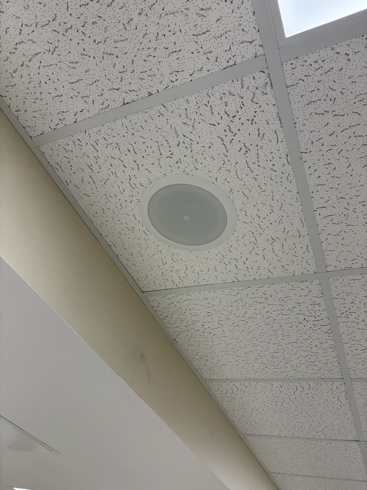 Flush commercial ceiling speaker in a finished drop ceiling